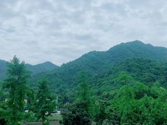 -听风阁农家私房菜茶楼(龙坞店)