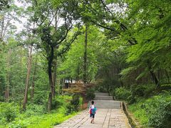 -崂山巨峰游览区