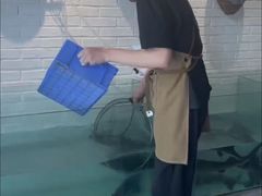 -红井路游艺炖锅·音乐餐吧(十渡店)