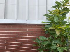 -锡才大羽羽毛球馆(深港花卉店)