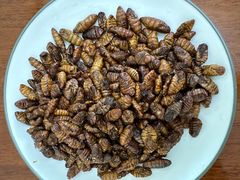 -永旺黄岛购物中心