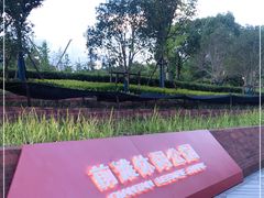 -上海山野camping·户外天幕烧烤·团建拓展营地