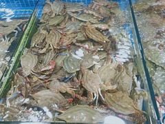 -三旗百汇商品城