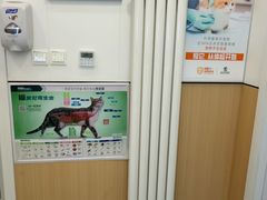 -瑞派·关忠动物医院·猫专科·犬专科(三环新城店)