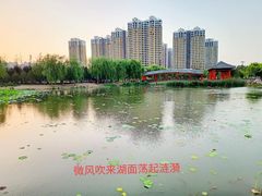 -河北省第三届（邢台园博园）园林博览会