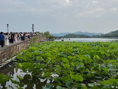 -浙江省博物馆(孤山馆区)