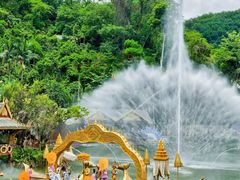 -西双版纳原始森林公园