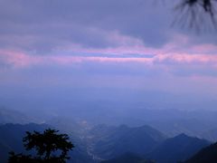 -天目山大树王景区