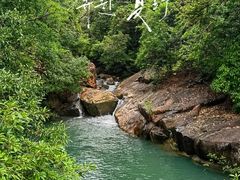 -广州白江湖森林公园