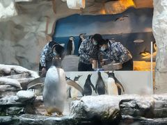 -华夏文旅西安度假区
