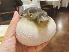 -肆月河豚·新淮扬(金融街店)