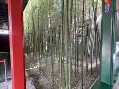 -上海老饭店(北京分店)
