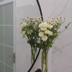 -SOR索尔祛痘·面部肌肤管理