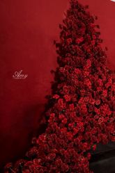 -艾米婚纱&婚礼策划