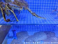 -方记海鲜大排档(乐山形象店)