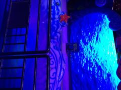 iphone_upload_pic-北京欢乐谷