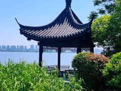 -长广溪湿地公园