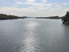 -沈阳鸟岛
