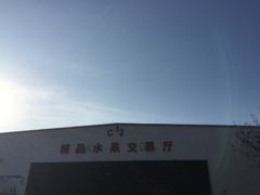 -韩家墅海吉星农产品批发市场