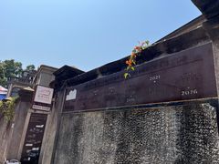 -泉州海丝野生动物世界