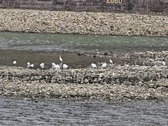 -成都南湖公园