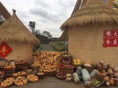 -中国天府农业博览园