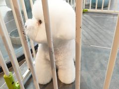 -萌兽医馆·眼科·异宠专科(三里屯店)