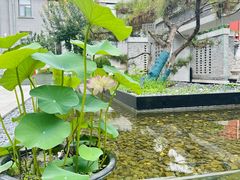-庐灶江南·江南菜·四合院Bistro(东直门雍和宫·原华侨宾馆店)