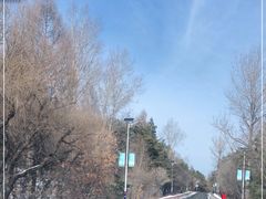 -帽儿山国家森林公园