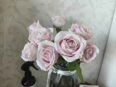 -呷哺呷哺(望京新世界店)