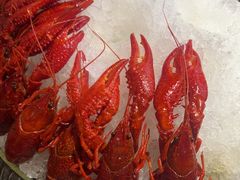 -京悦南门涮羊肉·羊蝎子火锅(田林路店)