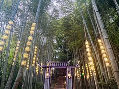 -杭州黄龙洞