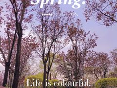 -国御温泉度假小镇