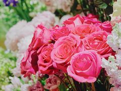 -BEAST野兽派(上海浦东嘉里城店)