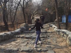 -阳台山自然风景区