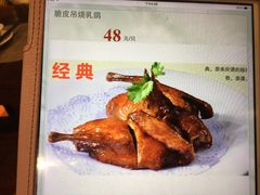 烤乳鸽-阳光茶餐