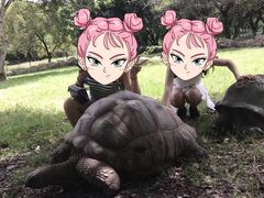 -卡塞拉自然公园