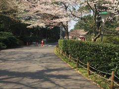 -汉拿树木园