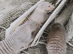 -国色天乡三期陆地乐园
