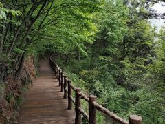 -塔云山