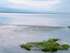 -大理洱海