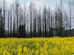 -樱桃山旅游景区