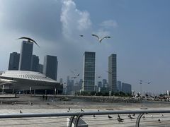 -东港音乐喷泉广场