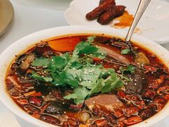 毛血旺-张生记(双菱店)