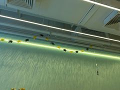 -CIAO·团建聚餐·生日派对轰趴馆(福田店)