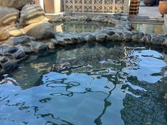 -春晖园度假酒店温泉