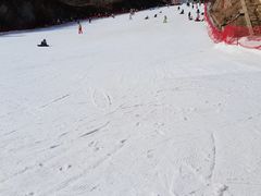 -蓟洲国际滑雪场