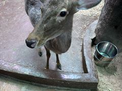 -正佳雨林生态植物园