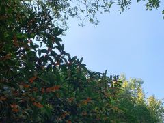-杭州少年儿童公园
