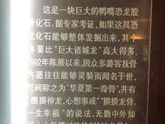 -诸城市恐龙博物馆